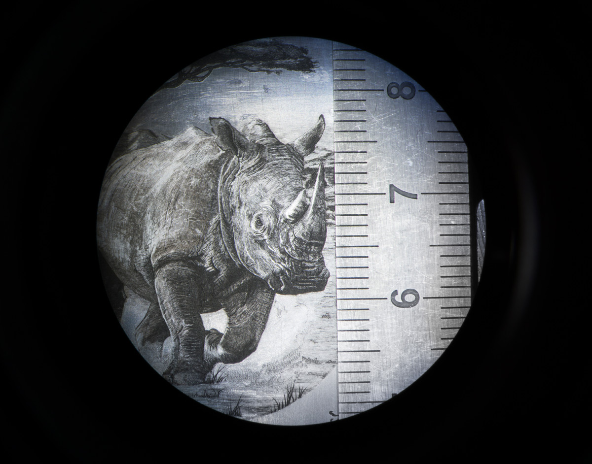 gravure-plaque-rhinoceros-louis-leforestier-4